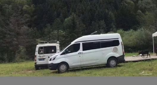 福特新全顺自动挡房车